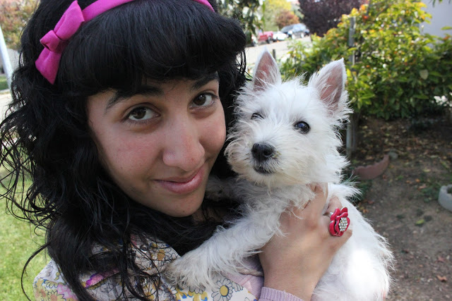 Brandy and Bella the Westie