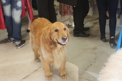 Jack The Factory's Mascot