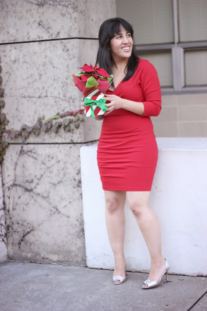 Poinsettia Red Holiday Dress